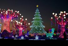 WHERE TO ENJOY THE BEST HOLIDAY LIGHTS TOURS IN DALLAS dallasairportlimousineservice